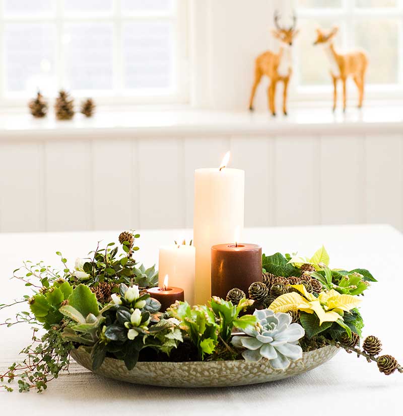 Julgrupp med minikrukväxter och ljus